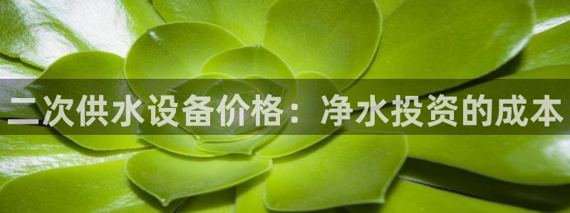 球友会是什么