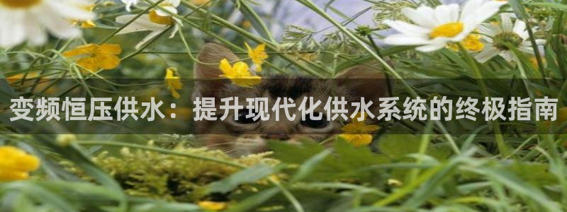 球友会app介绍