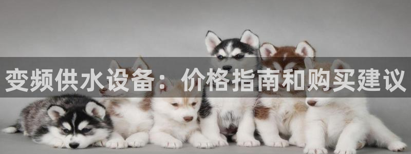 球友会qy怎么进不去