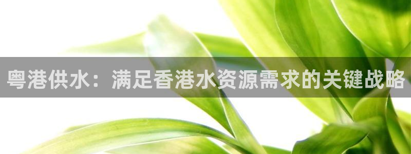 球友会app官网下载