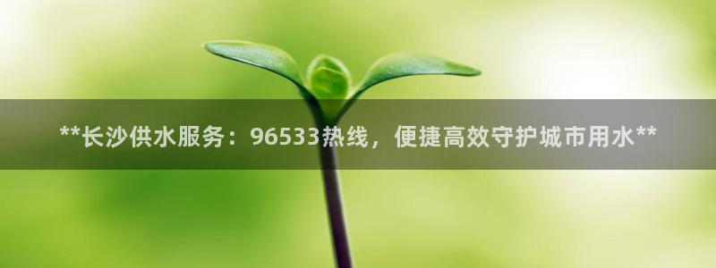 QY球友会官网