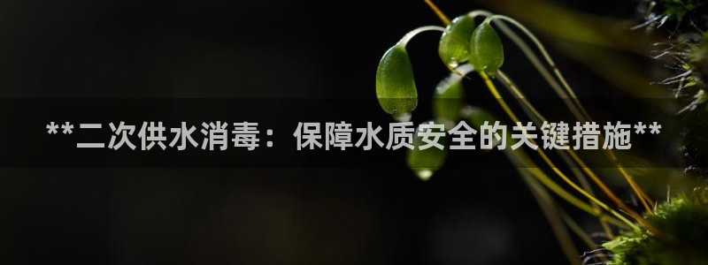 qy球友会体育官下载