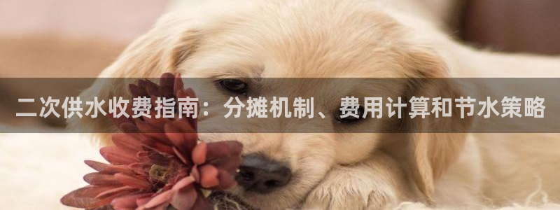 关键词