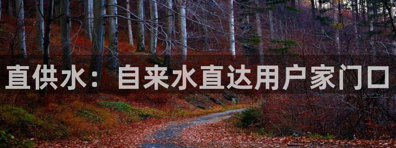 球友会登录不上的原因