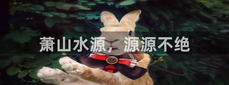 球友会登录网站怎么登录