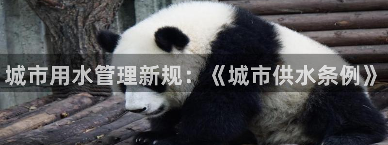 球友会app官网下载苹果