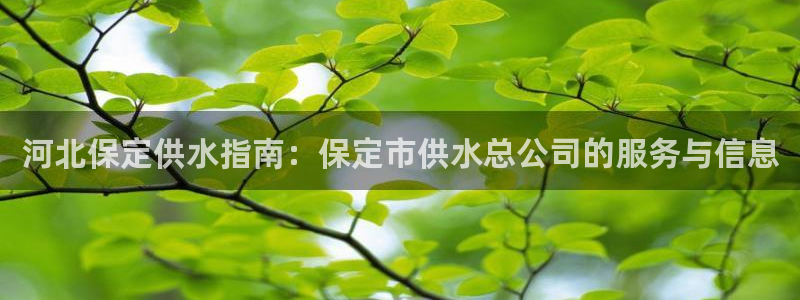 球友会APP