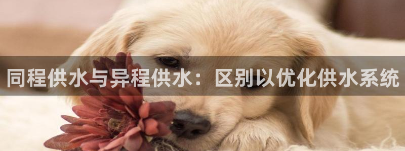 球友会体育app下载官网