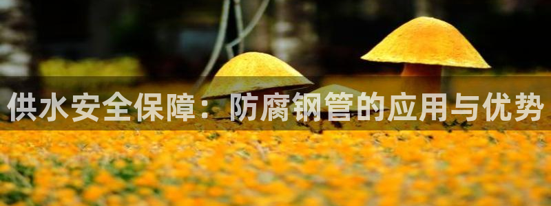 球友会首页
