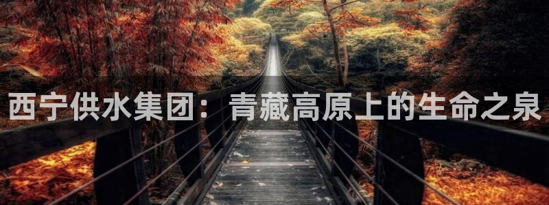 QY球友会体育官方平台