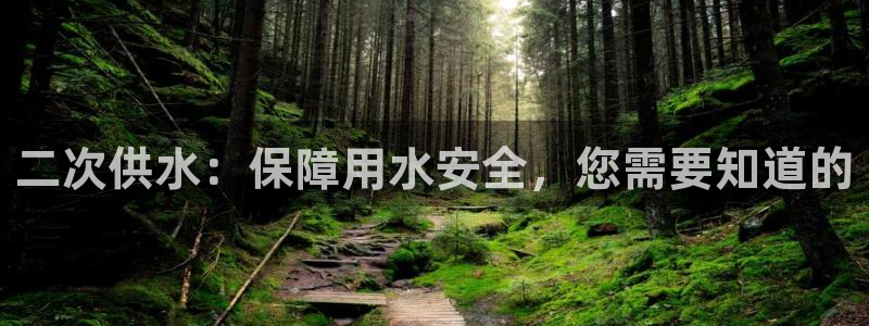 qy球友会体育官方平台