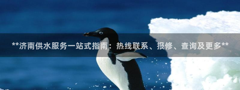 球友会体育app官方版下载安装手机