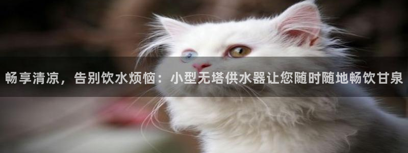 QY球友会体育官网
