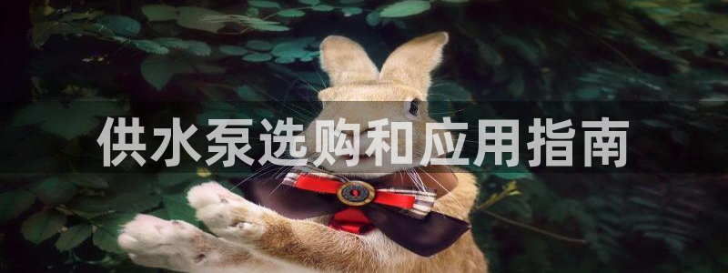 球友会提现不到账