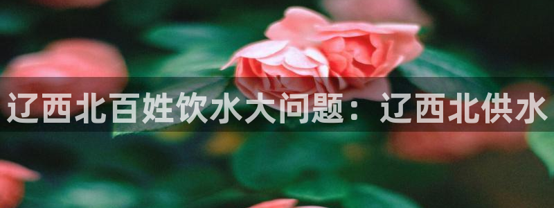 球友会下载