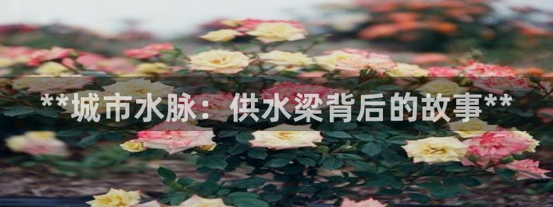 球友会怎么样