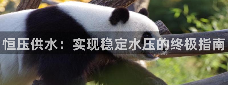 球友会官网入口