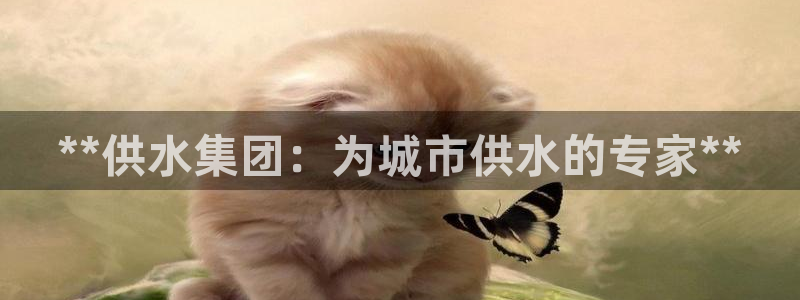 球友会app介绍