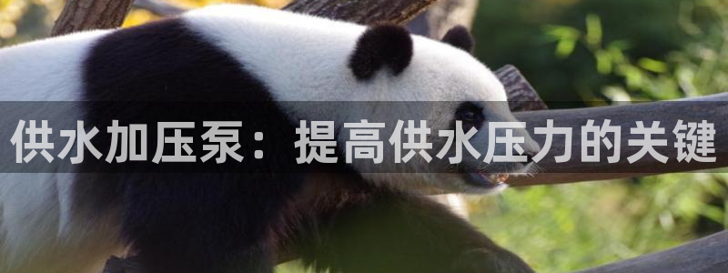 球友会登录网站