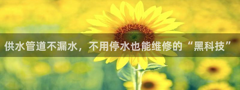 球友会qy