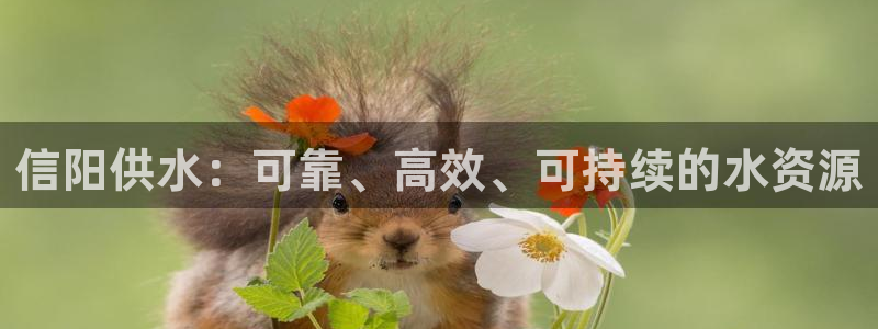 球友会提款不到账