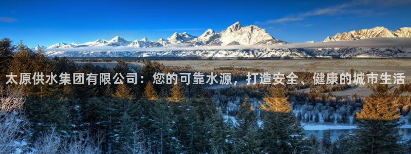 球友会·(QY)官方网站