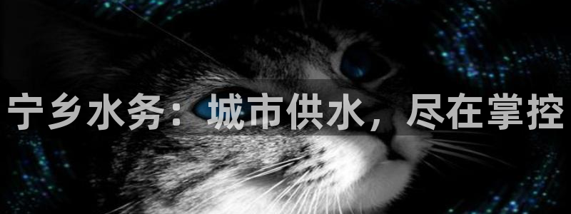 球友会app下载QY