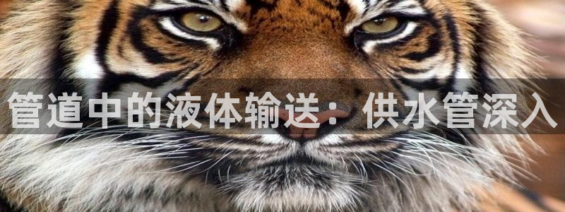 球友会提款审核中
