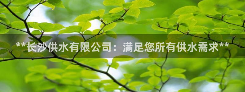 球友会聚餐发言