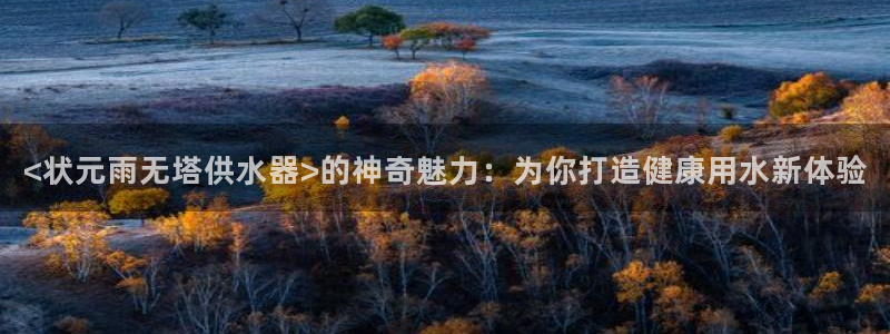 球友会apy