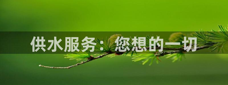 球友会app干啥的呀