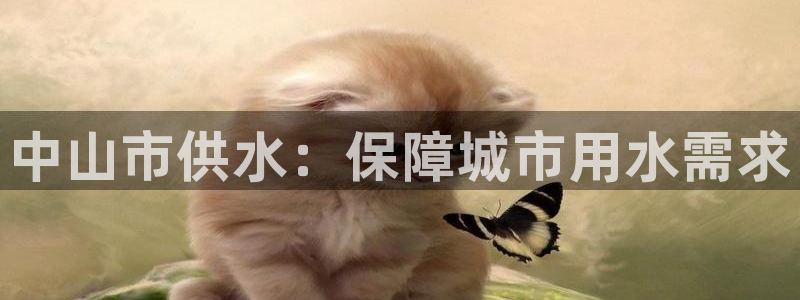 qy球友会体育官方平台