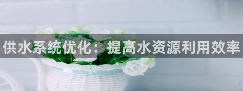 QY球友会