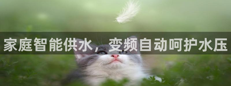 球友会比赛结果查询网站