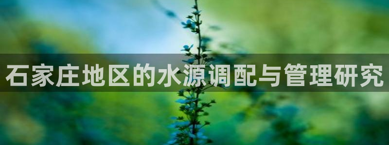 球友会网站多少