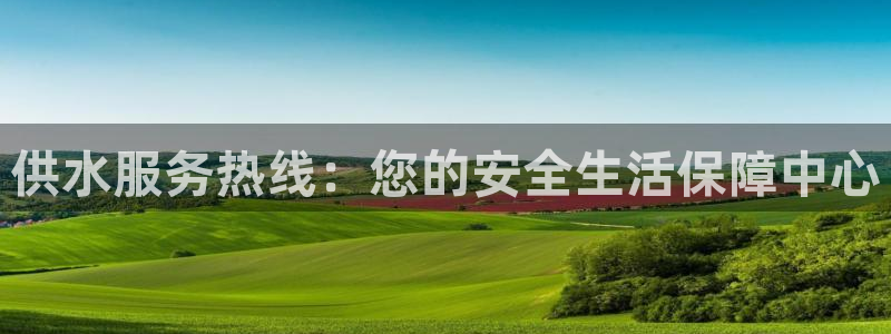 球友会下载