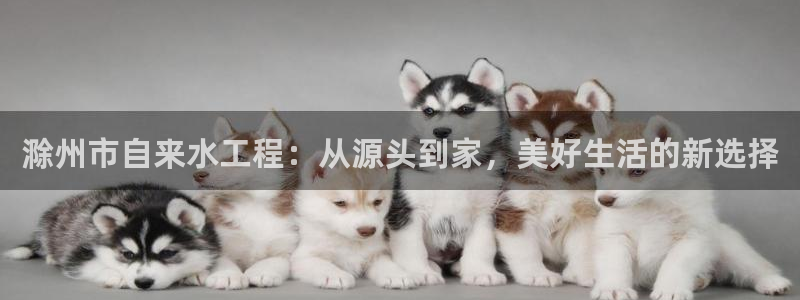 球友会体育app官方版下载安装苹果
