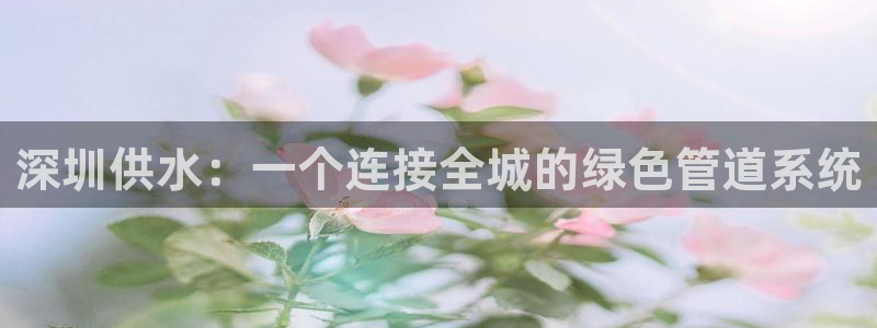 qy球友会体育官网下载