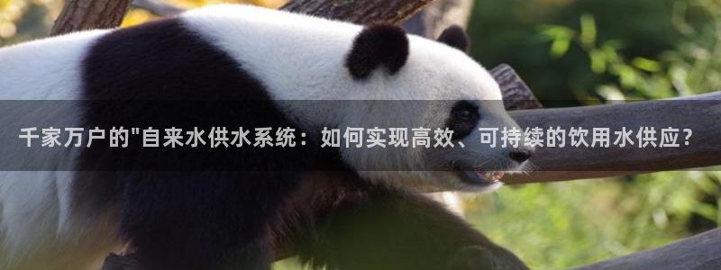 球友会联赛