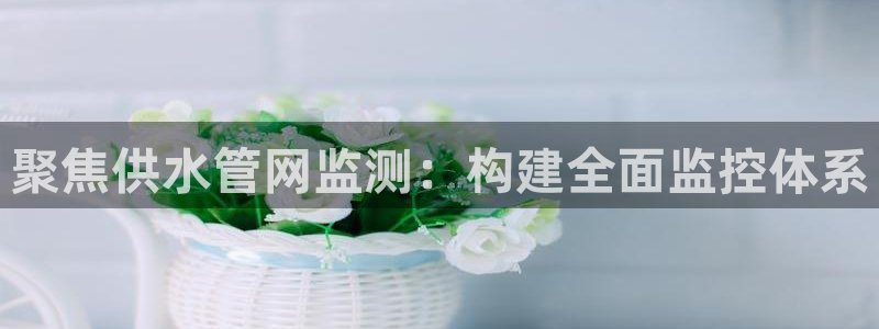 球友会官网入口在哪里