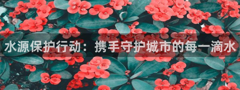 球友会app干啥的