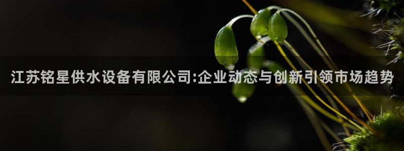 qy球友会体育(中国)官方网站