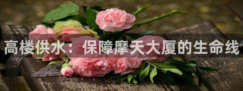 球友会app官方网站入口