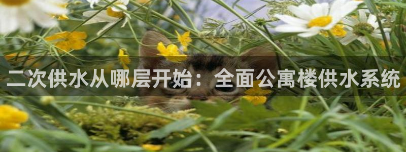 球友会买球打牌绑卡有风险吗?