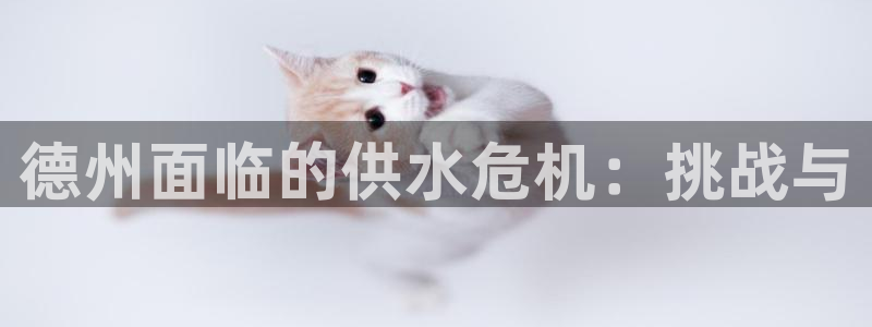 球友会比赛结果查询网站