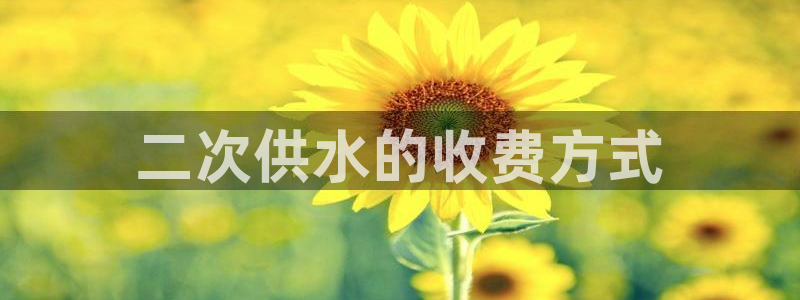 球友会网站多少钱一个