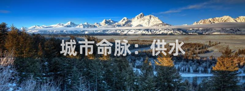 球友会app安全吗