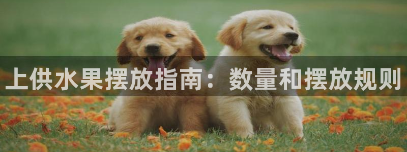 球友会台球俱乐部官网