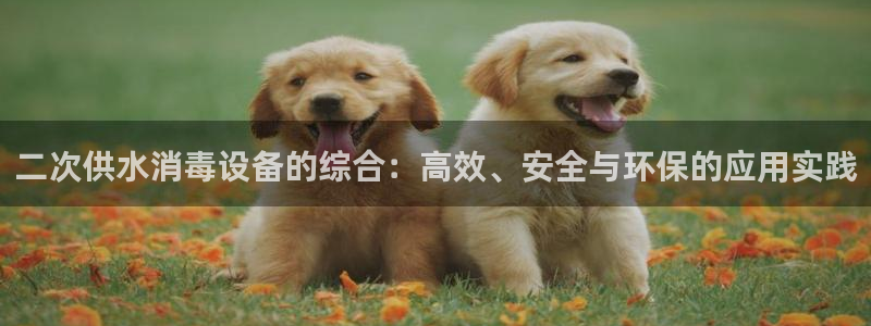 球友会比赛结果查询网站