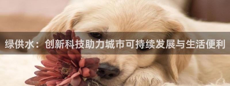 球友会app干啥的